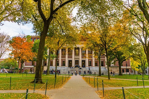 Thu vàng ở Đại Học Harvard, Boston, Mỹ