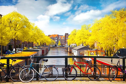 Amsterdam vàng óng trong mùa thu