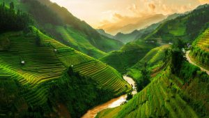 Màu xanh bao trùm Sapa vào hè